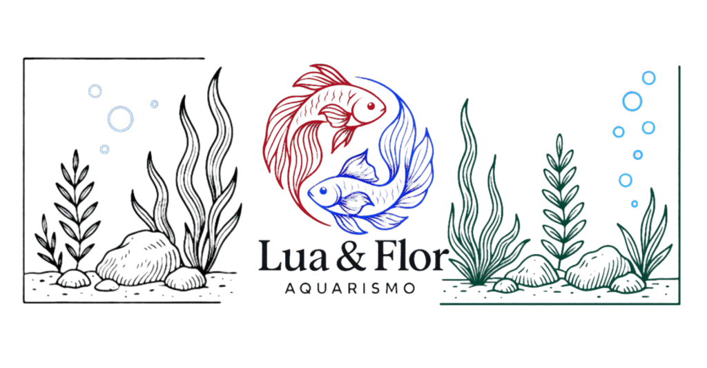 design sem nome 20250919 143320 0000