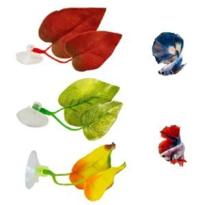 whatsapp image 2025 09 25 at 14.31.12