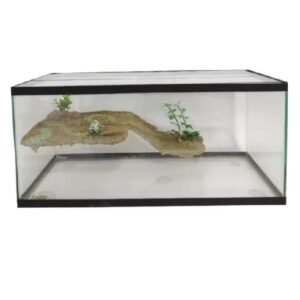 aquário terrário vidro decorado 50x22x22 para tartaruga